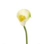 Fleur artificielle Calla CHIDORA, crème, 55cm, 5x6cm