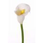 Fleur artificielle Calla CHIDORA, blanc, 55cm, 5x6cm