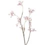 Gypsophile décoratif ASANA, rose, 65cm, Ø0,5cm