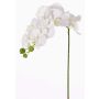 Branche artificielle d'orchidée Phalaenopsis GALINA, crème, 45cm