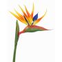 Fleur de Strelitzia artificielle LATIFA, orange-violet, 90cm, 17x20cm