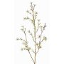 Fleur de cire artificielle NIANG, crème, 80cm, Ø1,5-2,5cm
