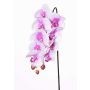 Branche d'orchidée Phalaenopsis artificielle ENISA, rose-blanc, 60cm, Ø7-8cm