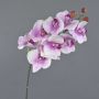 Branche d'orchidée Phalaenopsis artificielle ENISA, rose-blanc, 45cm