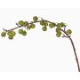 Branche de pommier décorative BORIAN avec fruits, vert, 95cm