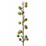Branche de pommier décorative BORIAN avec fruits, vert, 95cm