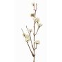 Branche décorative de callicarpe LARINA avec baies, crème, 50cm