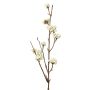 Branche décorative de callicarpe LARINA avec baies, crème, 50cm