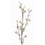 Branche décorative de callicarpe LARINA avec baies, crème, 70cm