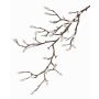 Branche décorative Magnolia KOTORI, blanc, gris, 75cm, Ø0,5-1cm