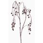Branche de baies décorative PASKO, noir-lilas, 120cm