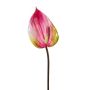 Fleur décorative Anthurium GRUNT, rose, 75cm