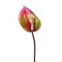 Fleur décorative Anthurium GRUNT, vert-rose, 75cm