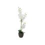 Orchidée artificielle Phalaenopsis KATALIN, pot décoratif, blanc, 80 cm