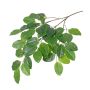 Branche de figuier banian artificiel FARY, vert, 65cm