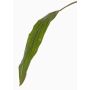 Feuille de cordyline décorative ELARA, vert, 90cm