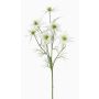 Fleur artificielle Nigelle SEVIN, blanc-vert, 65cm, Ø6-7cm