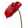 Fleur artificielle Anthurium MOIRA, rouge, 75cm, 13x18cm