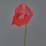Fleur artificielle Anthurium MOIRA, rouge, 75cm, 13x20cm