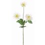 Chrysanthème décoratif SOLVIE, crème, 70cm, Ø10cm
