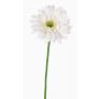 Gerbera artificiel HELLI, crème, 65cm, Ø12cm