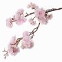 Branche décorative de Cerisier japonais RUKIA, en fleurs, rose clair-blanc, 90cm, Ø3-6cm