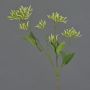 Branche de cornouiller décoratif JOSIA avec bourgeons, blanc-vert, 50cm