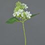 Fausse fleur Hortensia CHABY, blanc-vert, 30cm, Ø9cm