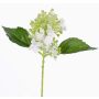 Fausse fleur Hortensia CHABY, blanc-vert, 30cm, Ø9cm