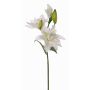 Fleur artificielle Lys ISALIE, blanc-vert, 80cm, Ø13-16cm