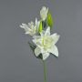 Fleur artificielle Lys ISALIE, blanc-vert, 80cm, Ø15cm