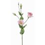 Fleur artificielle Lisianthus JUDIKA, rose-blanc-vert, 70cm, Ø6-7cm