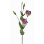 Fleur artificielle Lisianthus JUDIKA, violet-blanc-vert, 70cm, Ø6-7cm
