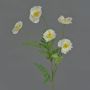Coquelicot artificiel KEIRA, blanc, 65cm, Ø5cm