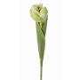Fausse tulipe ROMANA, vert clair, 45cm, Ø6cm