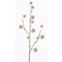 Allium artificiel EMRAH, crème, 80cm, Ø3-4,5cm