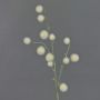 Allium artificiel EMRAH, crème, 80cm, Ø2-4cm