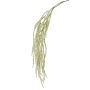Branche d'Amaranthus décorative MARGARETE, crème, 105cm
