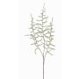 Branche d'Asparagus acutifolius artificielle JOCHEN, vert, 70cm
