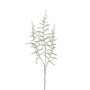 Branche d'Asparagus acutifolius artificielle JOCHEN, vert, 70cm