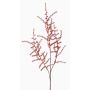 Branche d'Asparagus acutifolius artificielle JOCHEN, orange, 70cm