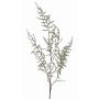 Barnche artificielle d'Asparagus acutifolius JOCHEN, vert, 130cm