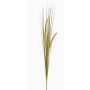 Herbe décorative JILL, piquet, panicules, vert-jaune, 90cm