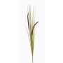 Herbe décorative JILL, piquet, panicules, vert-violet, 90cm