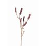 Fausse branche de callistemon HEMES avec fruits, rouge foncé, 60cm