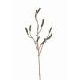 Branche artificielle de Callistemon BRODY avec fruits, vert, 90cm