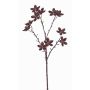 Branche d'anis étoilé en plastique DELANO avec fruits, marron, 60cm