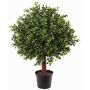Buis décoratif TOM, tronc naturel, crossdoor, 45cm, Ø30cm