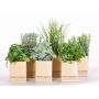 Mélange d'herbes artificielles CHUCK en pot en papier, 6 pièces, vert, 15-25cm