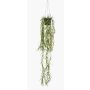 Suspension artificielle avec rhipsalis BOLTEN, vert, 80cm